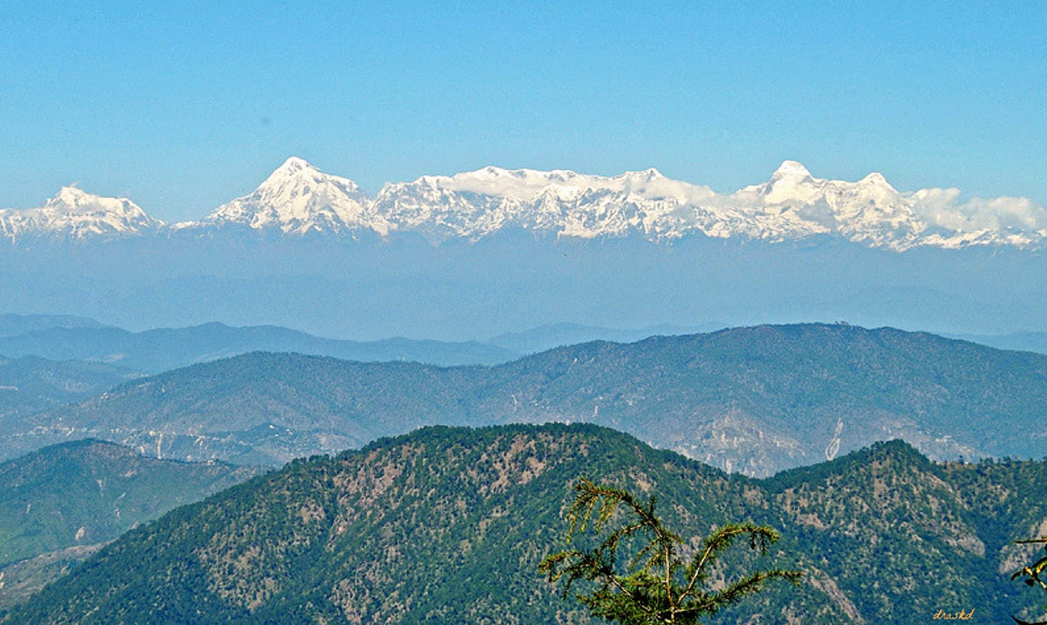 wild resort in nainital